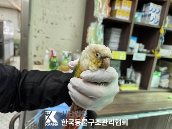 보호 중인 앵무새