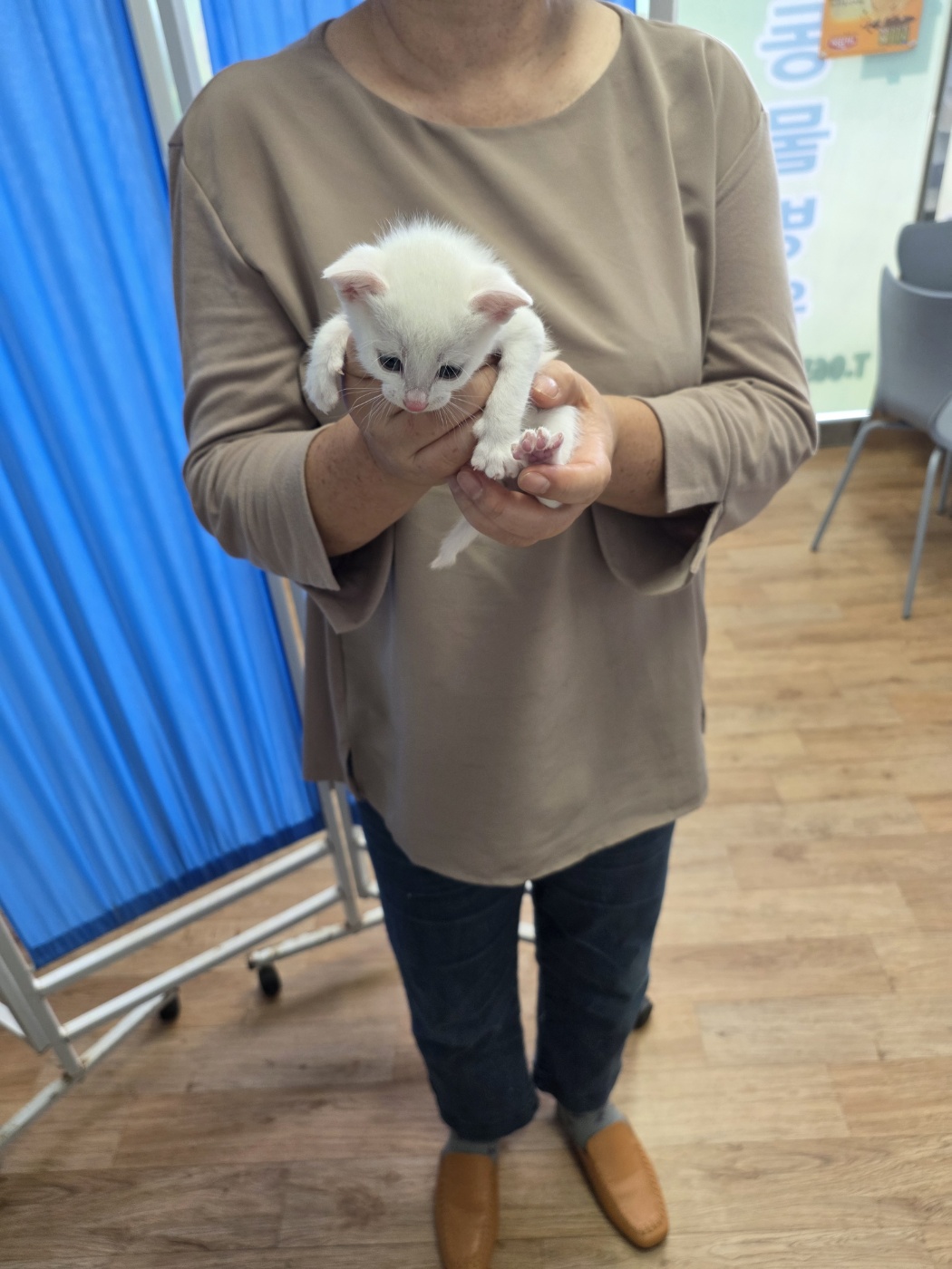 보호 중인 믹스묘