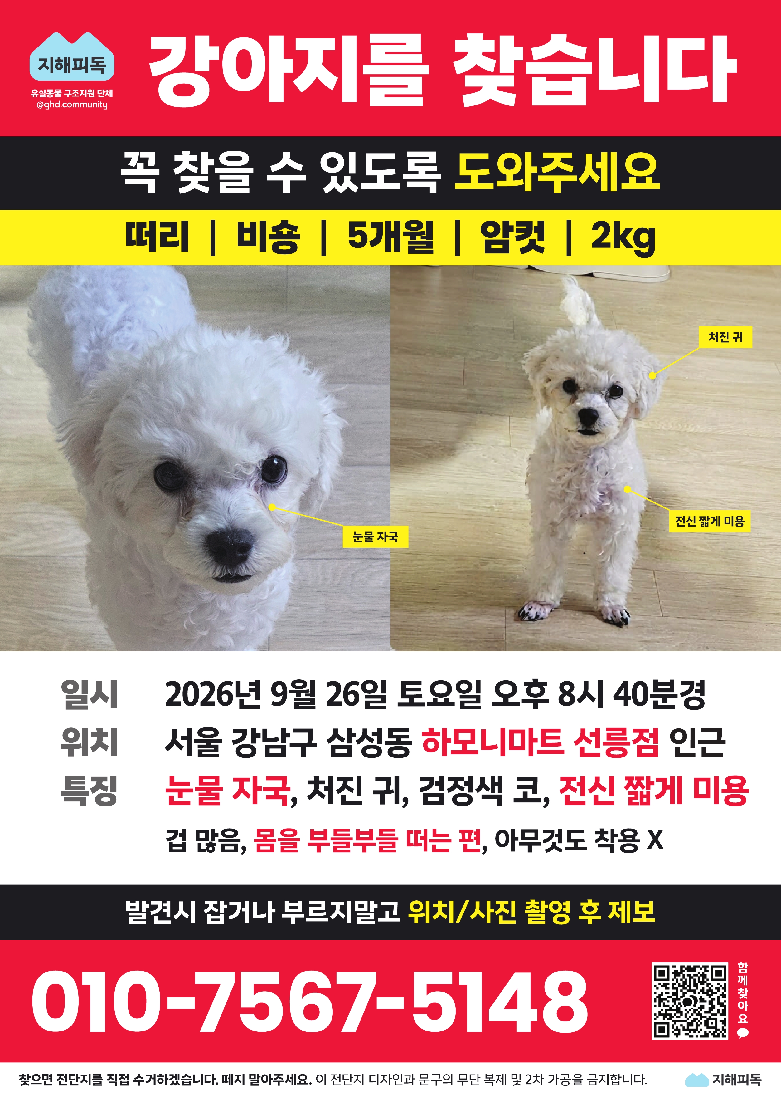실종 비숑 프리제