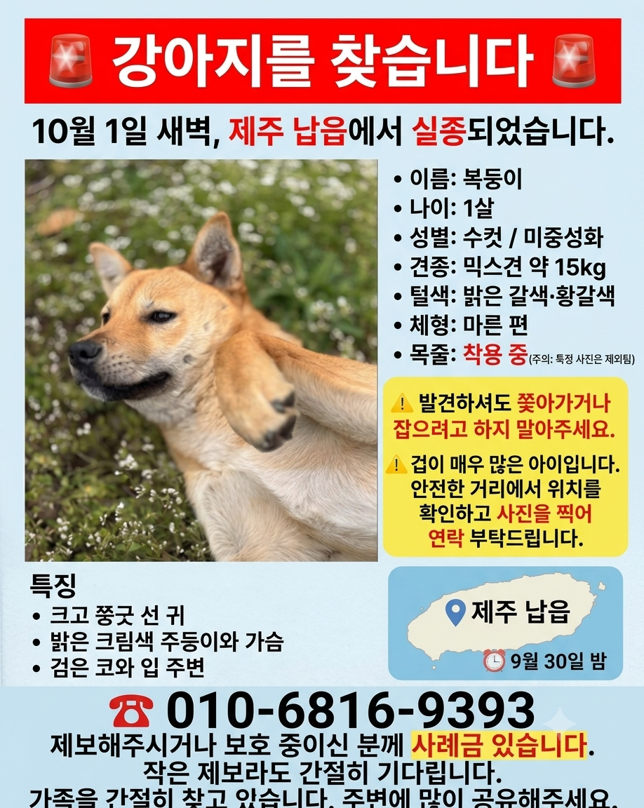 실종 기타