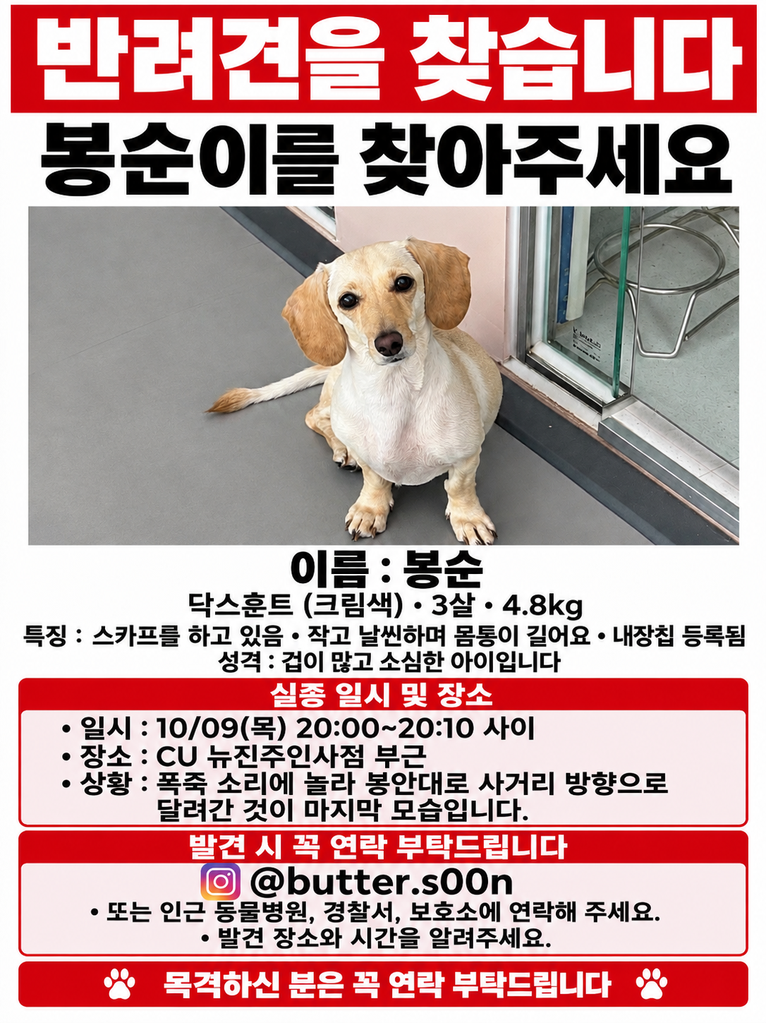 실종 미니어쳐 닥스훈트