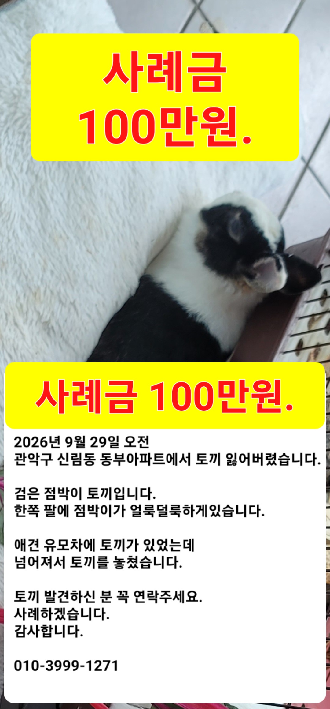 실종 기타축종